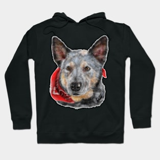 Australian Cattle Dog with a Red Bandana Hoodie